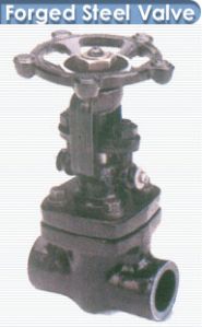 Forge Steel Valve