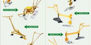 Animal Driven Plough