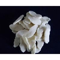 Polychloroprene Rubber