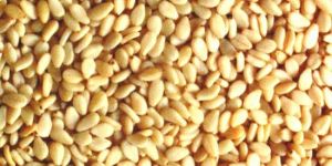 Sesame Seeds
