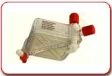 Arterial Line Filter