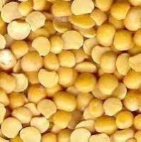 Gram Pulses
