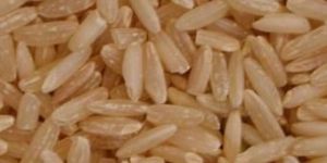 Brown Basmati Rice