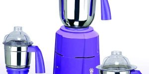 Moksh Leo Mixer Grinder