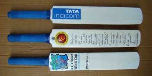 Wooden Cricket Bat