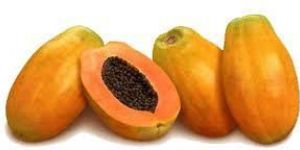 Papaya