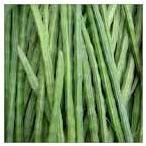 Fresh Vegetable, Drumstick