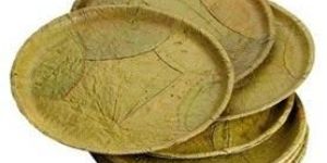 Disposable Leaf Plates