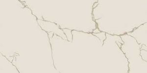 Neptune Vitrified Tile