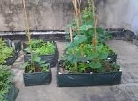 Planter Grow Bags