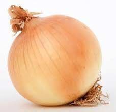 Fresh Onion
