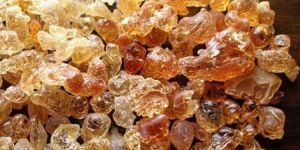 Gum Arabic