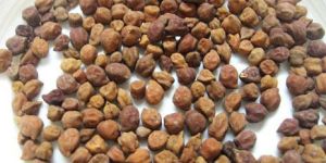 Black Chickpeas