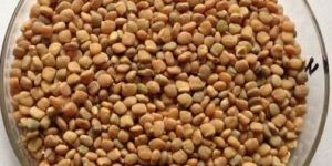 Guar Gum Seeds