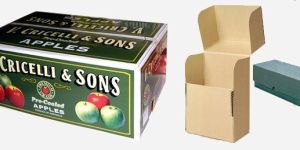 Duplex Board Printed Boxes