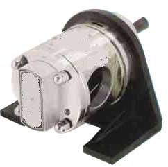 Rotary Gear Pump