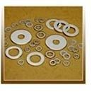 Stainless Steel Plain Washer