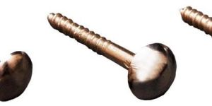 Brass Mirror Screws
