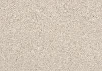 Recycled Paper