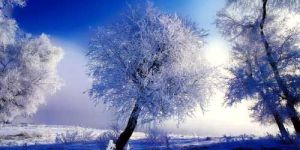 Landscape Oil Paintings