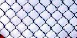 Iron Chain Link Fence