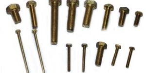 Brass Hex Bolts