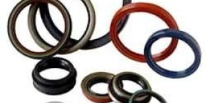 Oil Seals