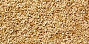 Hulled Sesame Seeds
