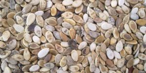 Hulled Watermelon Seeds