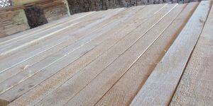 Pine logs & sawn sizes