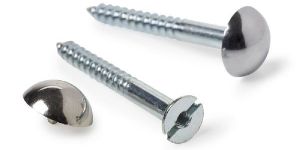 Mirror Screw