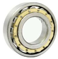 Cylindrical Bearing