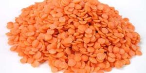 Masoor Dal