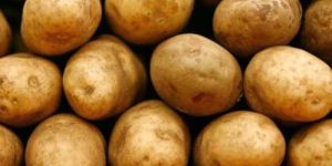 Fresh Potato