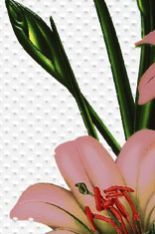 Highlighter Series Wall Tiles