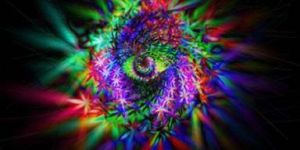 Digital Printed Scarves