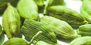 Green Cardamom