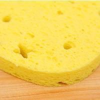 Wood Pulp