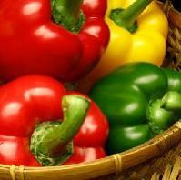 Color Capsicum