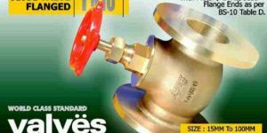Single Flanged Globe Valve