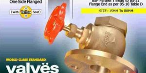 Double Flanged Globe Valve