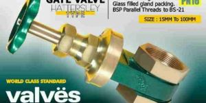 Gun Metal Gate Valve