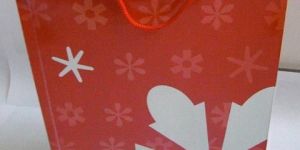 Paper Carry Bags (CIMG0776)