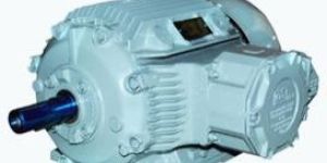 Flame Proof Motors