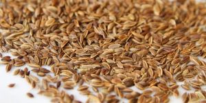 Dill Seeds