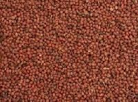 Revivo Seed