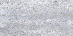 Digital Polished Vitrified Tiles