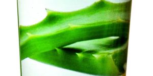 Aloe Vera Facewash