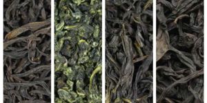 Oolong Tea