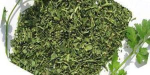 Dehydrated Coriander Flakes